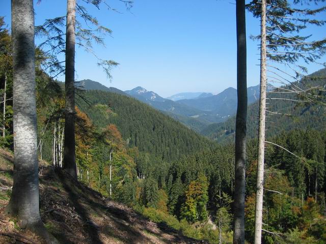 Stegovnik, Ženiklovec, 21.9.2003 - foto povečava