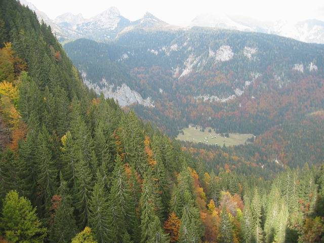 Vogar, Pršivec, Planina pri jezeru, 12.10.200 - foto povečava