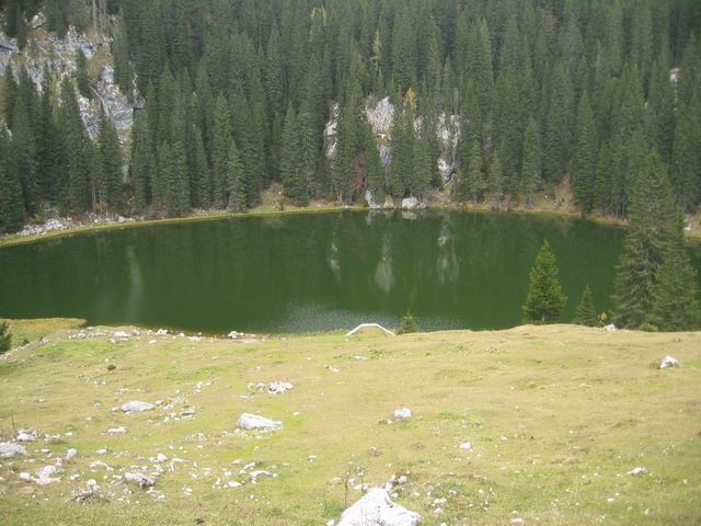 Vogar, Pršivec, Planina pri jezeru, 12.10.200 - foto povečava