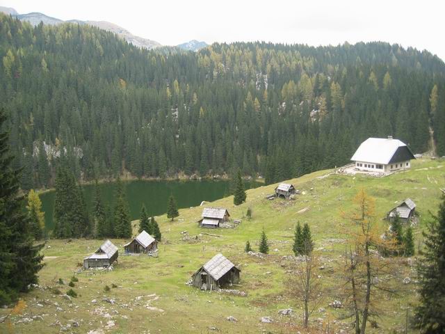 Vogar, Pršivec, Planina pri jezeru, 12.10.200 - foto povečava