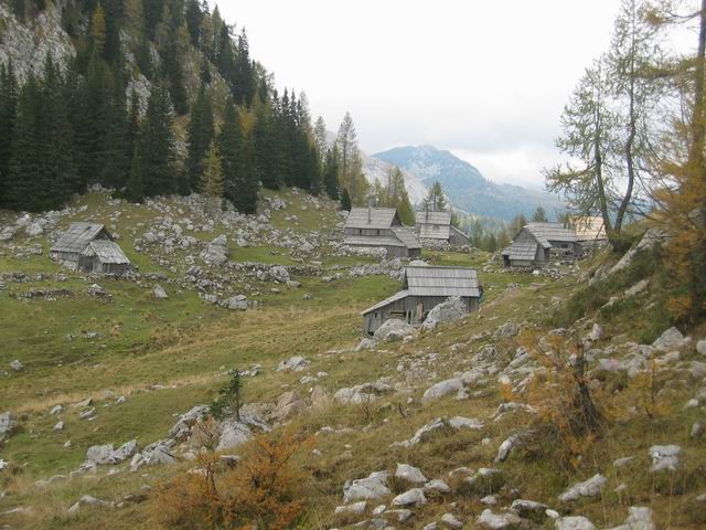 Vogar, Pršivec, Planina pri jezeru, 12.10.200 - foto povečava