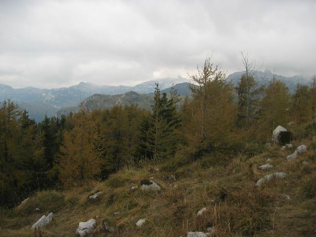 Vogar, Pršivec, Planina pri jezeru, 12.10.200 - foto povečava