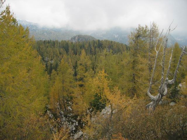 Vogar, Pršivec, Planina pri jezeru, 12.10.200 - foto povečava