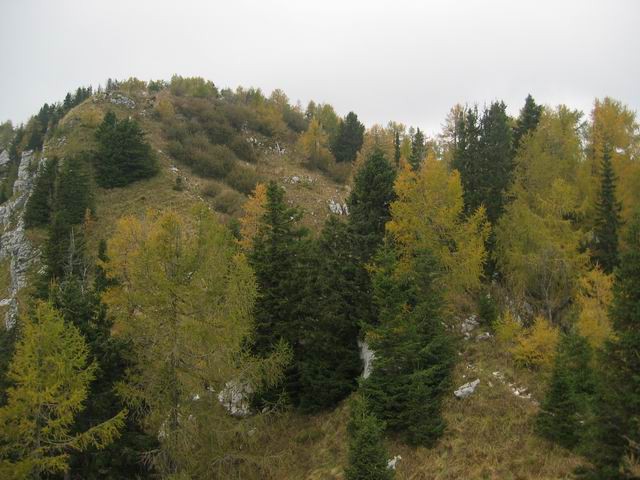 Vogar, Pršivec, Planina pri jezeru, 12.10.200 - foto povečava