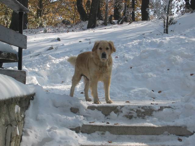 Nanos, 26.10.2003 - foto povečava