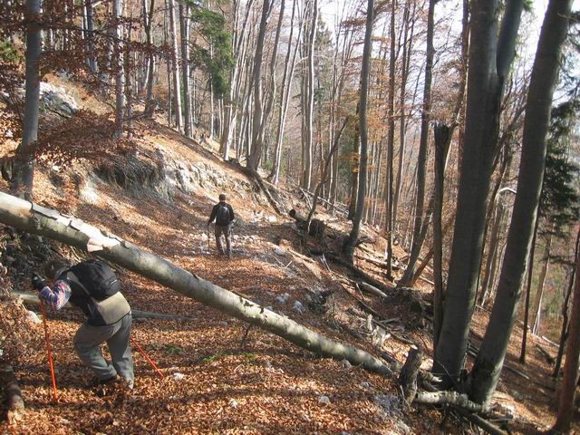 Dobrča, 15.11.2003 - foto