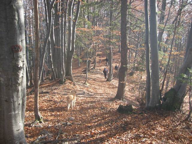 Dobrča, 15.11.2003 - foto povečava