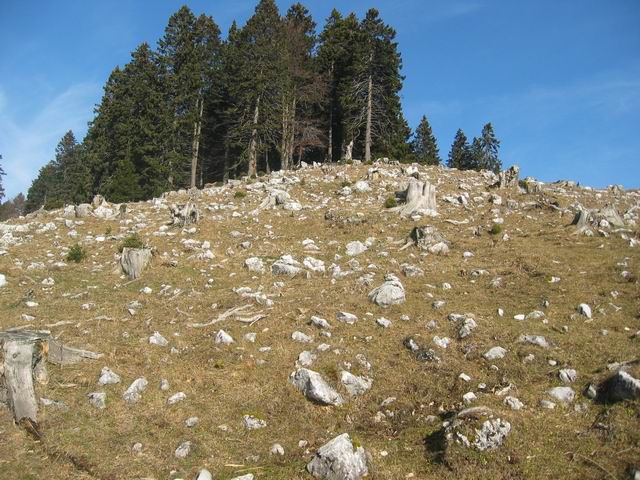 Dobrča, 15.11.2003 - foto