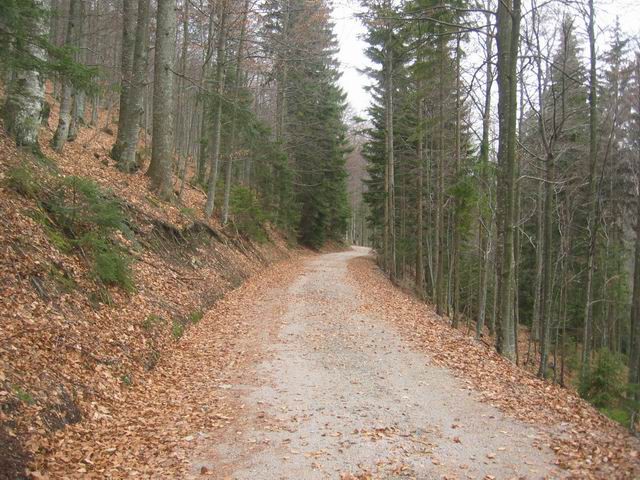 Mali Snežnik, 14.12.2003 - foto povečava