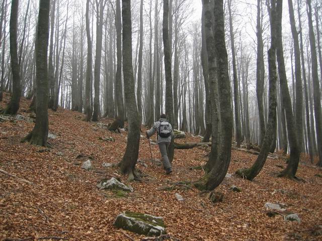 Mali Snežnik, 14.12.2003 - foto