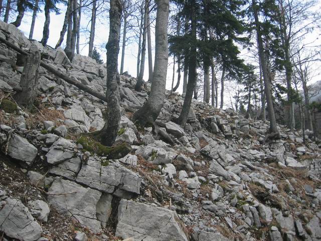 Mali Snežnik, 14.12.2003 - foto povečava