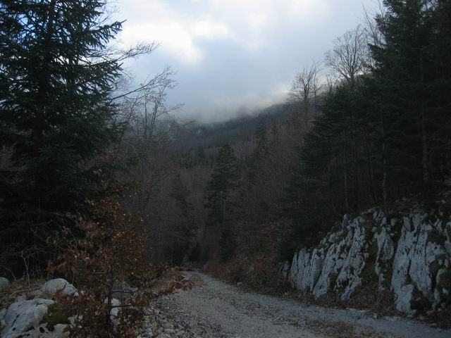 Mali Snežnik, 14.12.2003 - foto povečava