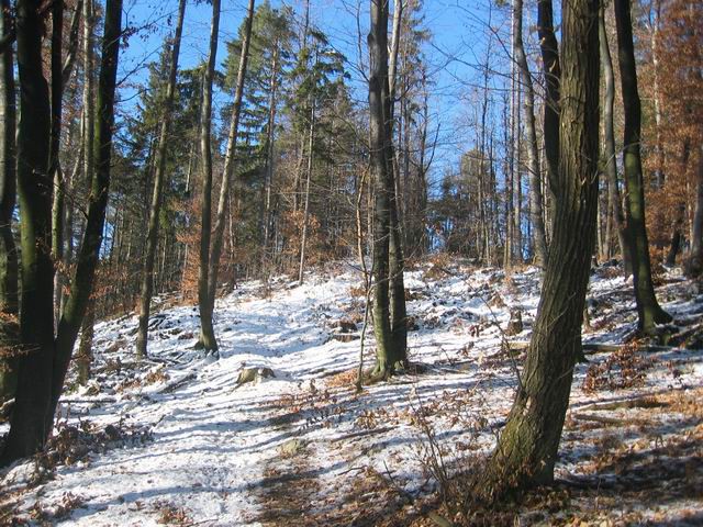 Osolnik, 25.12.2003 - foto povečava