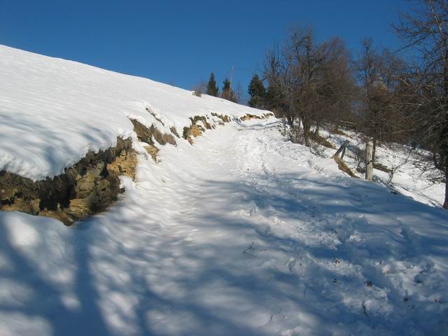 Osolnik, 25.12.2003 - foto povečava