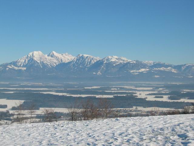 Osolnik, 25.12.2003 - foto povečava