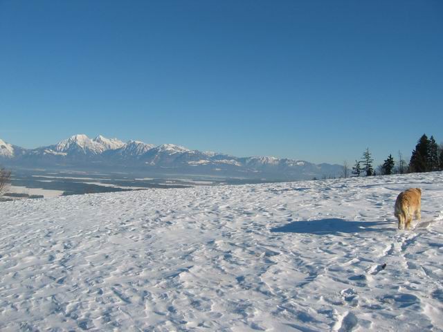 Osolnik, 25.12.2003 - foto