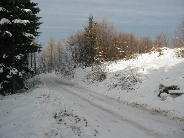 Trdinov vrh, 26.12.2003 - foto