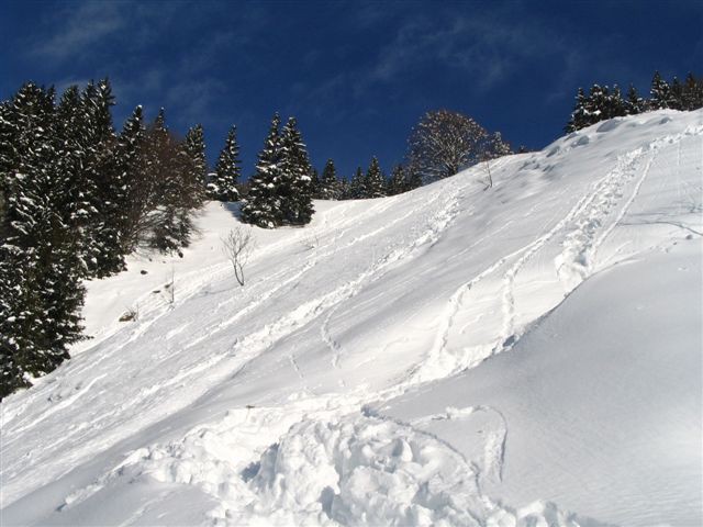 Kriška gora, 31.12.2005 (Čevl) - foto povečava