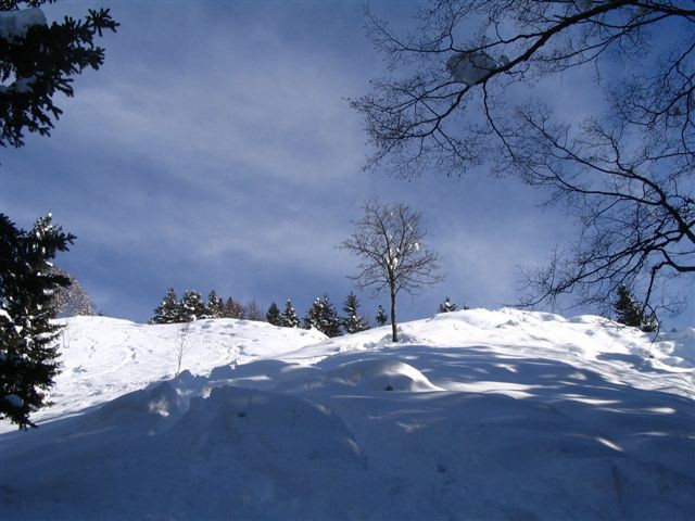 Kriška gora, 31.12.2005 (Čevl) - foto