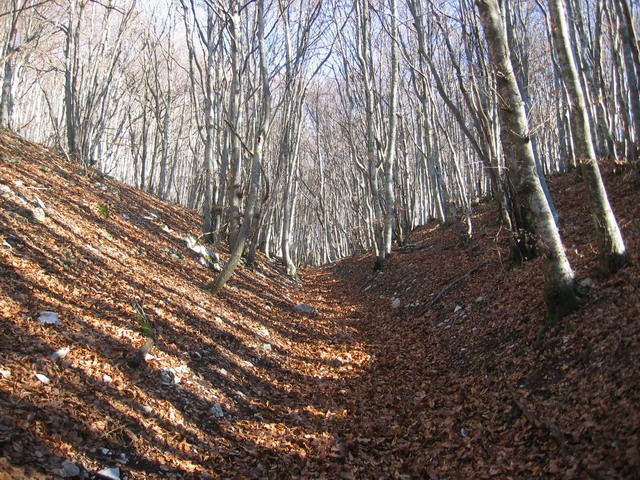 Slavnik, 13.12.2003 - foto povečava