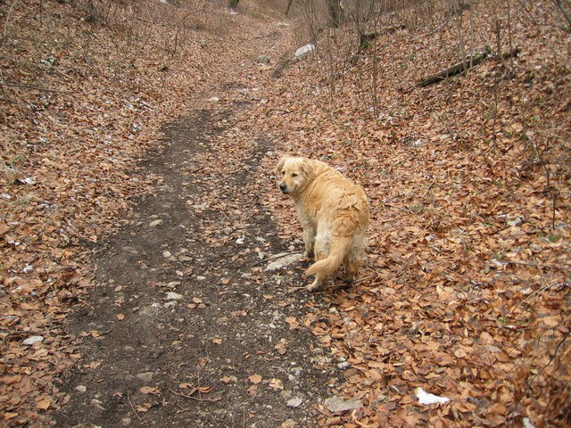 Boč, 20.2.2004 - foto