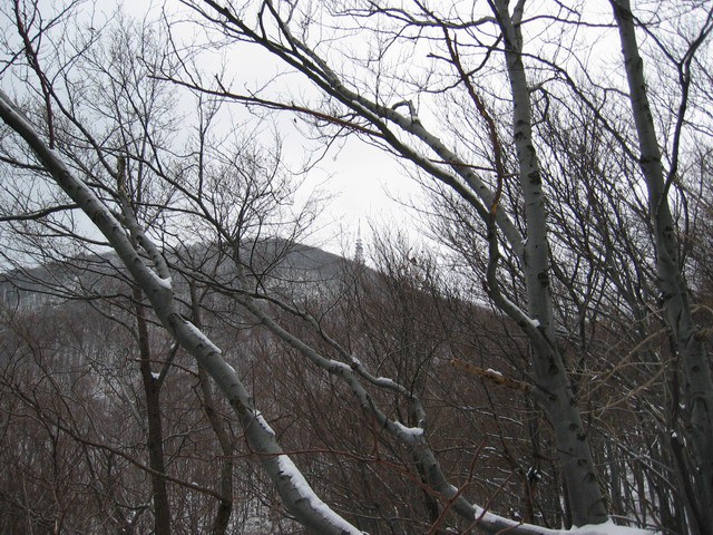 Boč, 20.2.2004 - foto