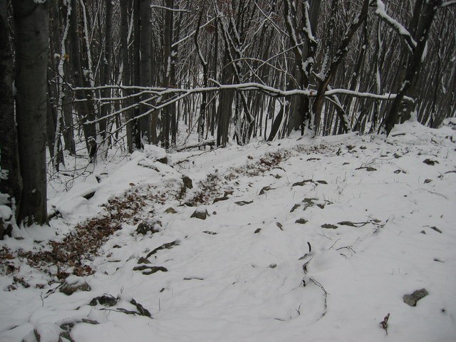 Boč, 20.2.2004 - foto