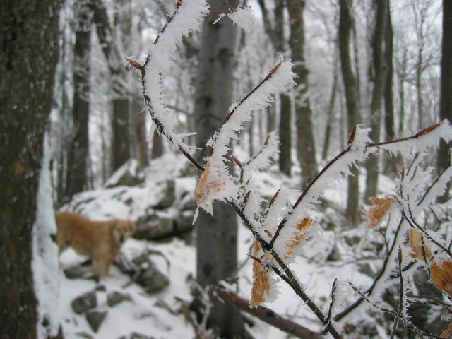 Boč, 20.2.2004 - foto