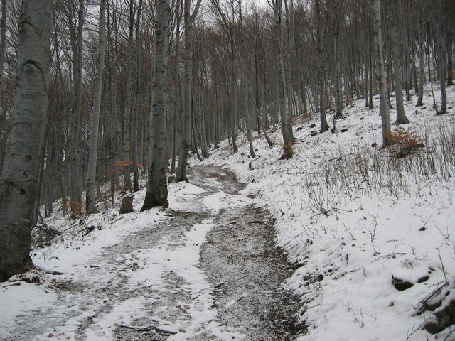 Boč, 20.2.2004 - foto