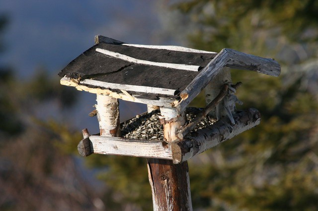 Kališče, 2.4.2006 - foto