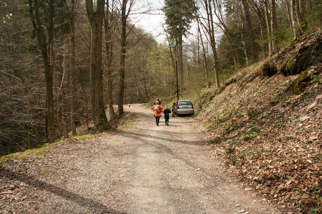 Govejek, Osolnik, 17.4.2006 - foto