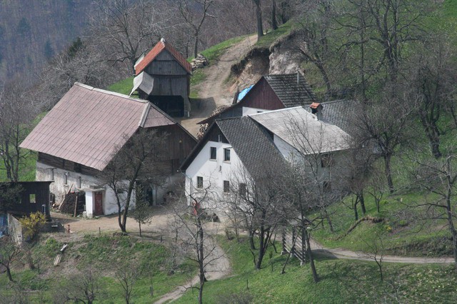 Govejek, Osolnik, 17.4.2006 - foto