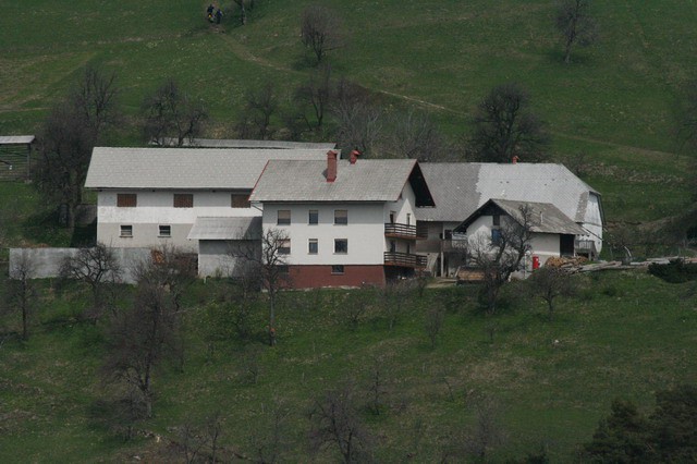 Govejek, Osolnik, 17.4.2006 - foto povečava