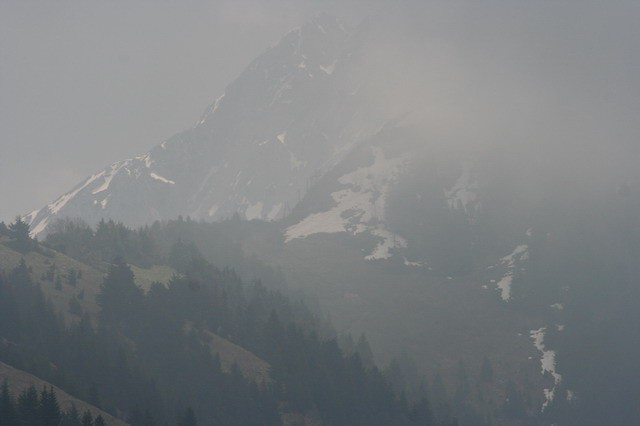 Kriška gora, 7.5.2006 - foto
