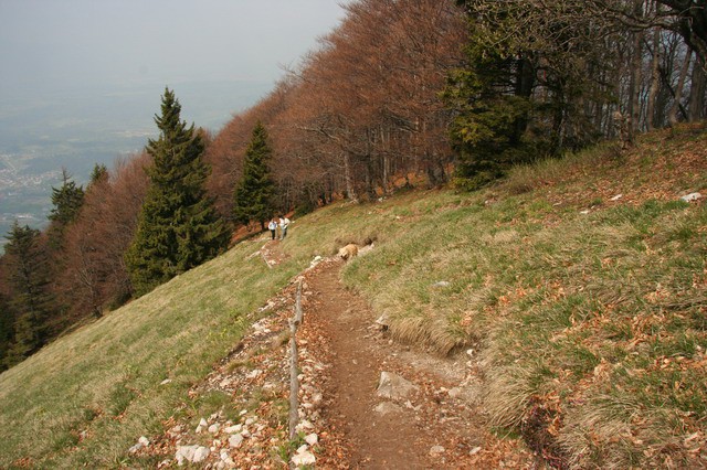 Kriška gora, 7.5.2006 - foto povečava