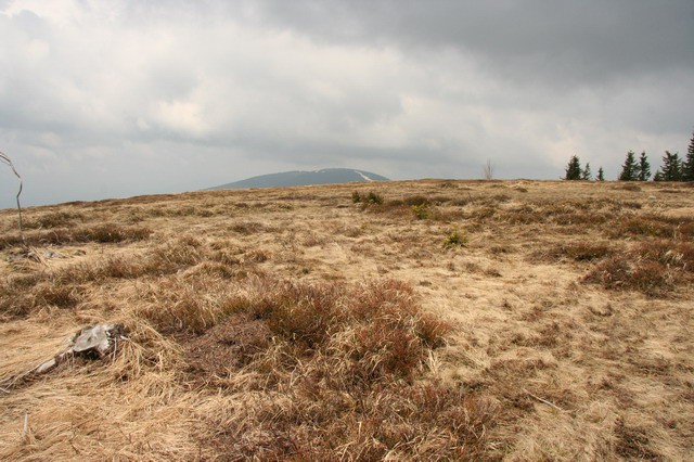 Čni vrh, Ribniška koča, 10.5.2006 - foto povečava