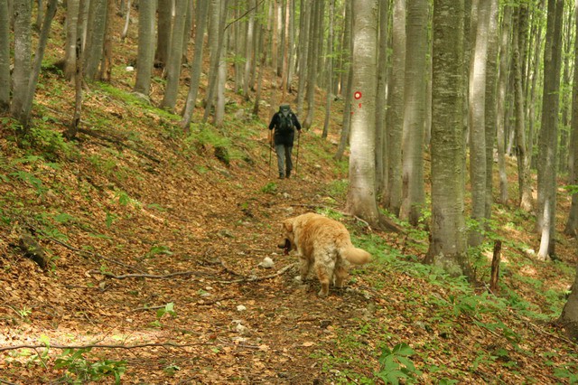 Čaven, Iztokova koča, Mali Golak, 27.5.2006 - foto