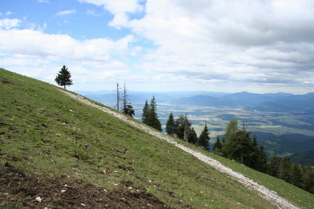 Dom na Gospincu, Krvavec, Veliki Zvoh, 4.6.20 - foto povečava