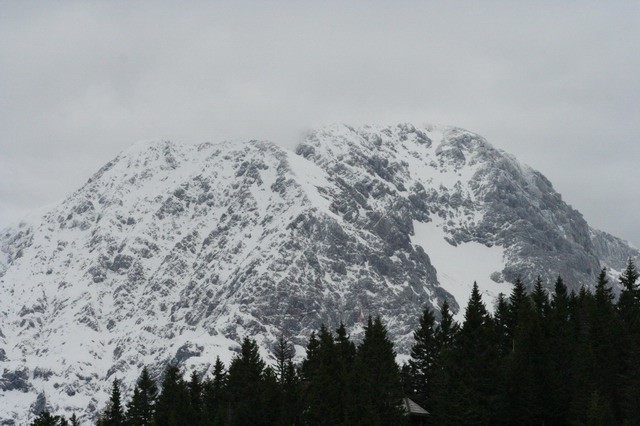 Dom na Gospincu, Krvavec, Veliki Zvoh, 4.6.20 - foto