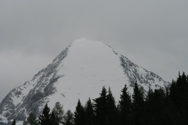 Dom na Gospincu, Krvavec, Veliki Zvoh, 4.6.20 - foto povečava