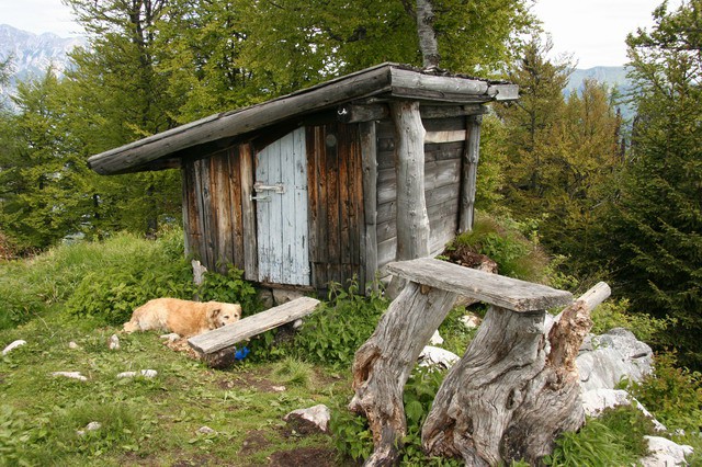 Jerebikovec (Mežakla), 11.6.2006 - foto