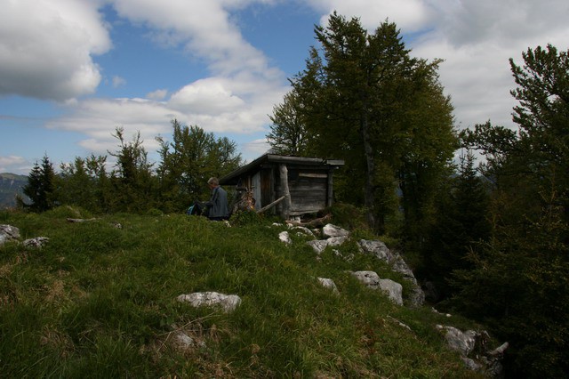 Jerebikovec (Mežakla), 11.6.2006 - foto povečava