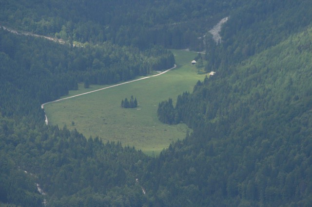 Jerebikovec (Mežakla), 11.6.2006 - foto povečava