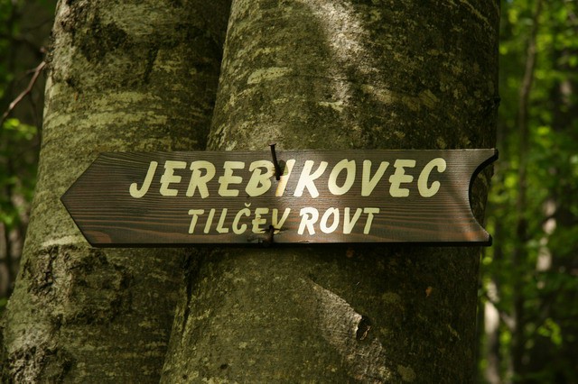 Jerebikovec (Mežakla), 11.6.2006 - foto