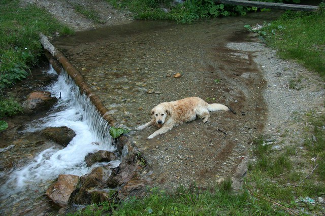 Grmada, Gonte, Tošč, 13.6.2006 - foto