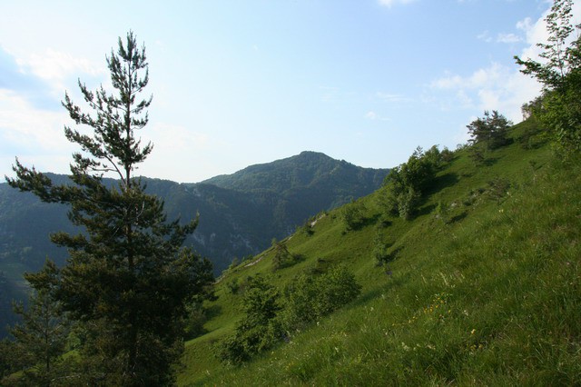 Grmada, Gonte, Tošč, 13.6.2006 - foto