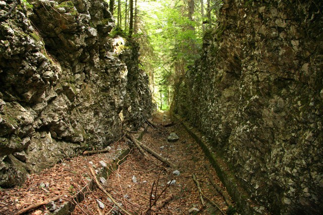 Orožnova koča, Črna prst, 20.6.2006 - foto