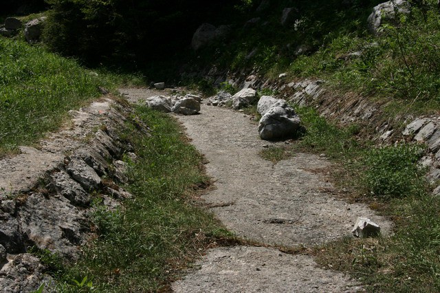 Orožnova koča, Črna prst, 20.6.2006 - foto