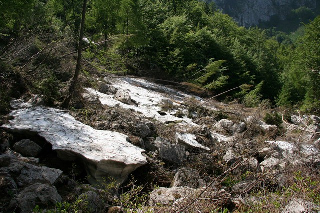 Orožnova koča, Črna prst, 20.6.2006 - foto povečava