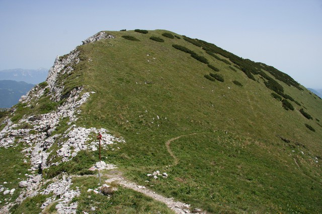 Orožnova koča, Črna prst, 20.6.2006 - foto
